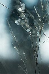 《双影奇境》发售两个月 销量达到400万套